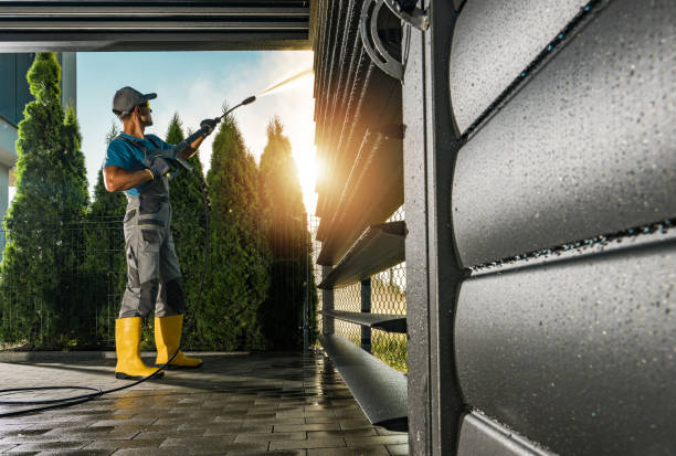 Best Pressure Washing Siding  in Woodville, WI