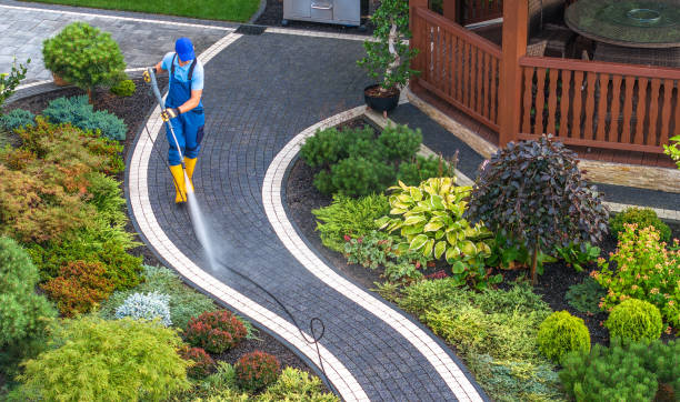Best Local Pressure Washing Services  in Woodville, WI