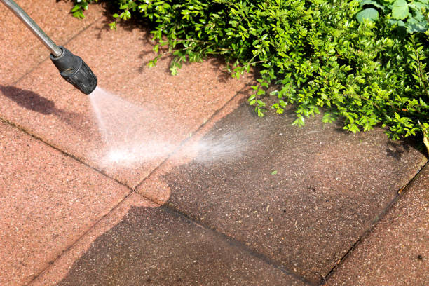 Best Pressure Washing Company Near Me  in Woodville, WI