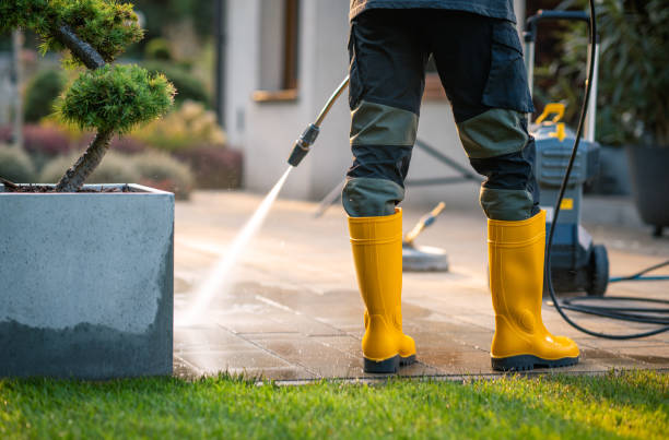 Best Deck Cleaning Services  in Woodville, WI